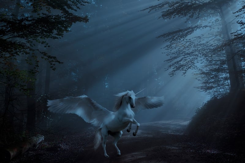 Enchanted Forest